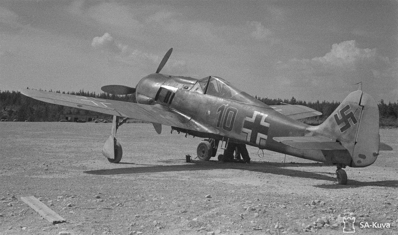 Fw 190 F-8 Immola