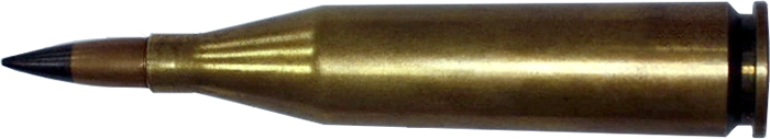 Patrone 318
